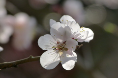 2012春-025