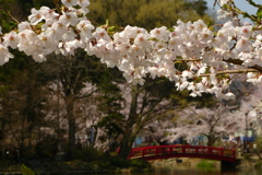 2012春-012