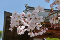 2012春-026