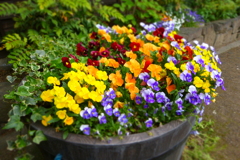 2012春-048