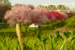 2012春-040