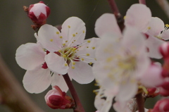 2012春-005