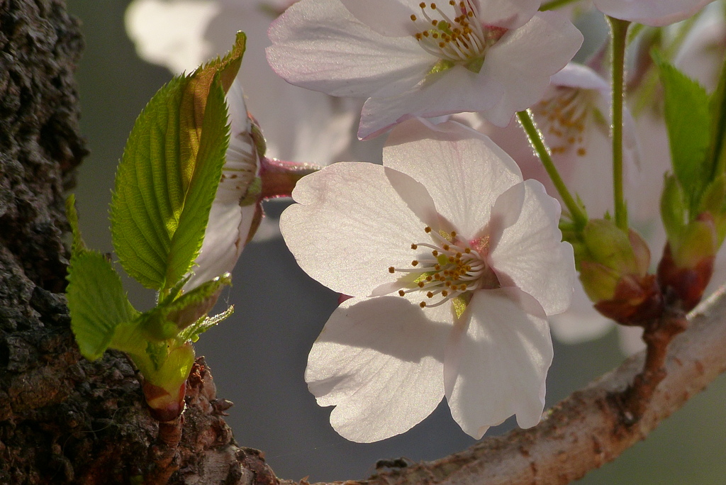 2012春-008