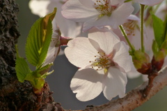 2012春-008