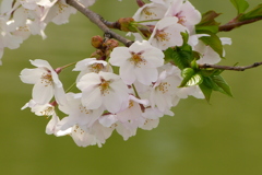 2012春-019