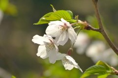 2012春-018