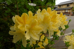 2012春-050