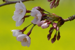 2012春-031