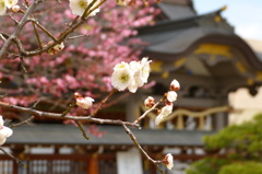 2012春-001