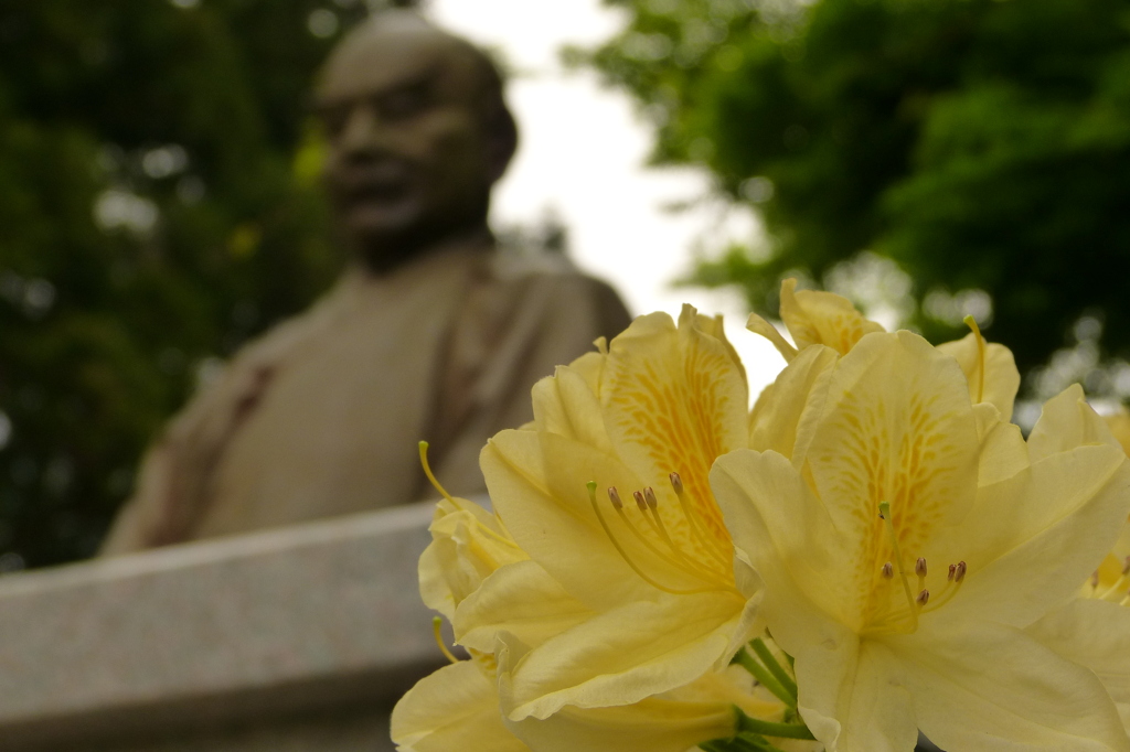 2012春-049