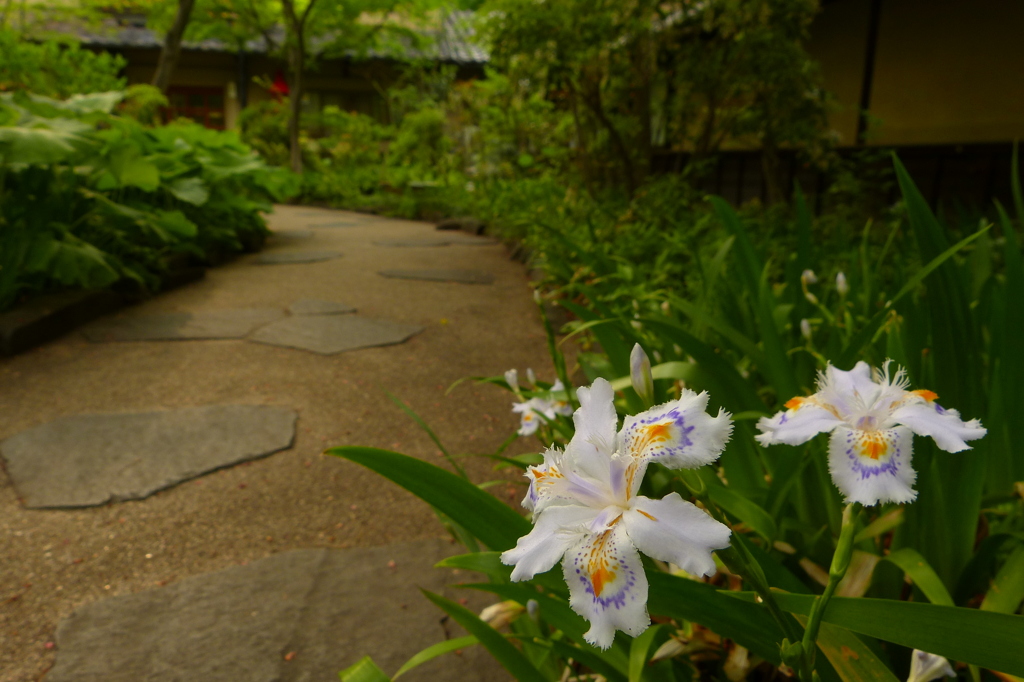 2012春-047
