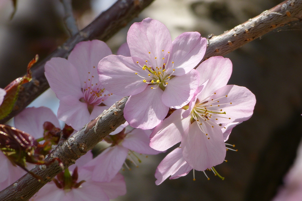 2012春-021