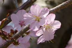 2012春-021