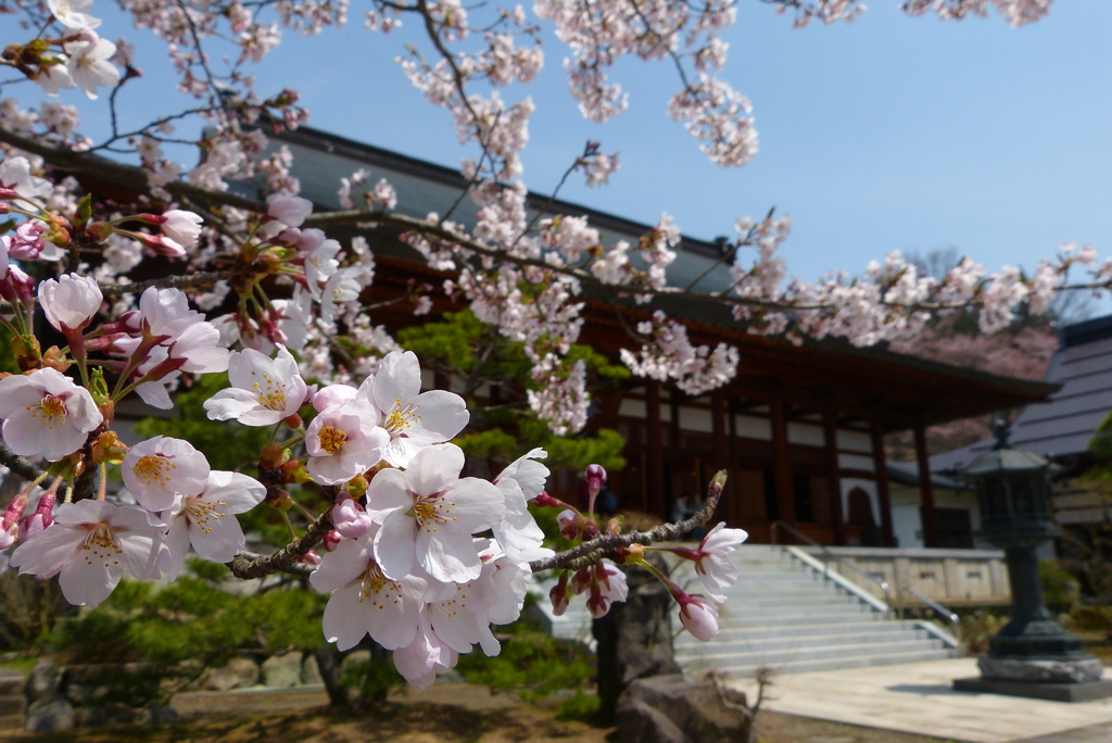 2012春-023
