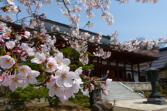 2012春-023