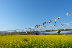 2012春-037