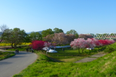2012春-041