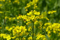 2012春-029