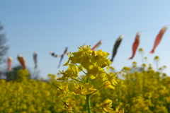 2012春-035