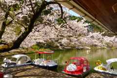 2012春-013