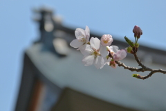 2012春-022