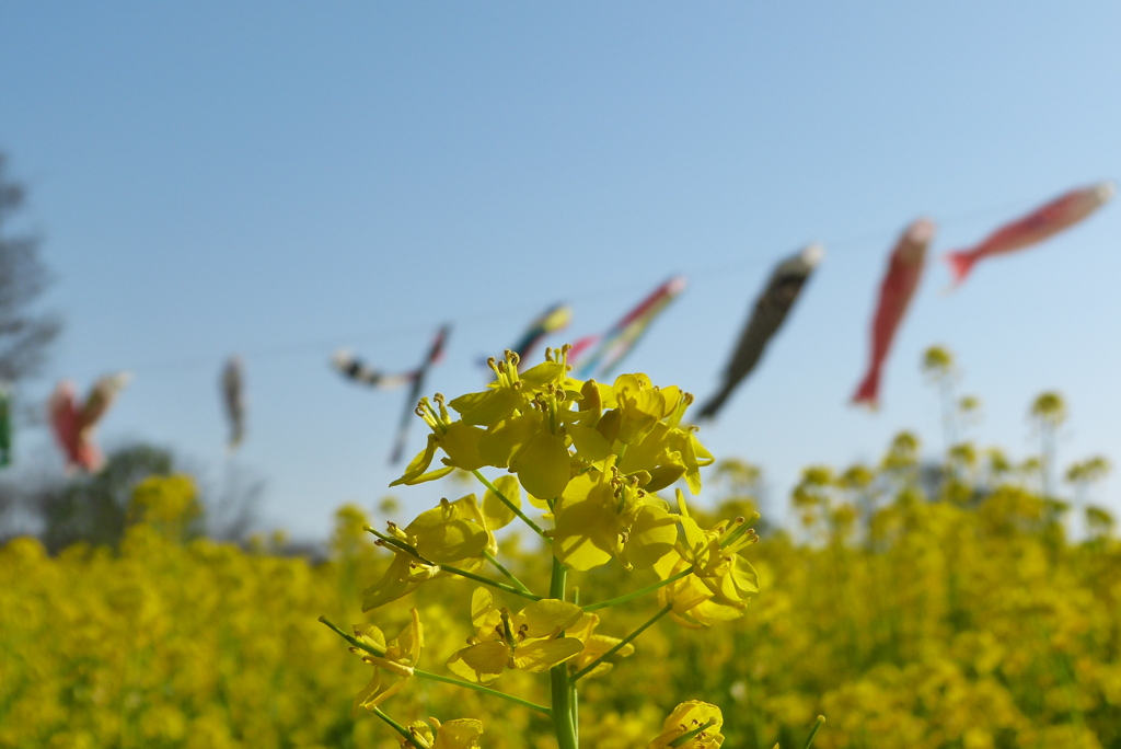 2012春-034