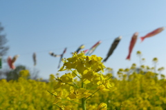 2012春-034