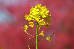 2012春-033