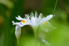 2012春-045