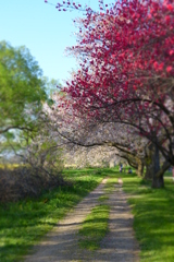 2012春-038