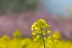 2012春-036
