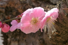 2012春-003