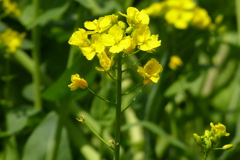 2012春-027