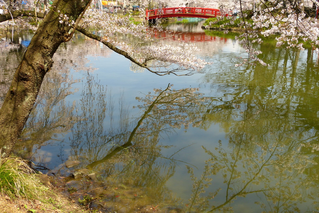 2012春-015