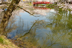 2012春-015