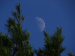 DSC06251