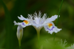 2012春-044