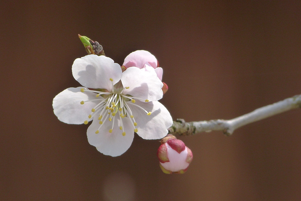 2012春-024