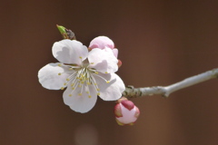 2012春-024