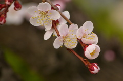 2012春-006