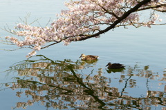 2012春-014