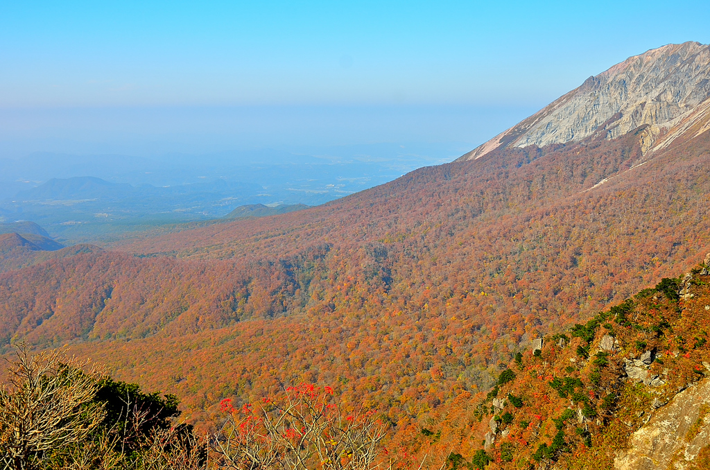 大山紅葉 vs PM2.5? 