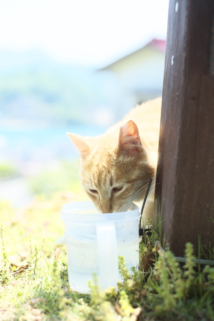 she's got water.