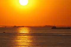太陽と海ほたる