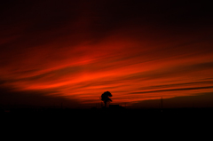 　新篠津村　夕焼け