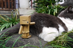 友情の芽生え？