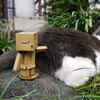友情の芽生え？