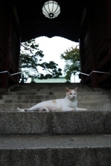 もんばん