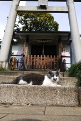 もんばん