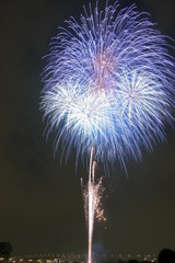 夏の風物詩なので、一枚ぐらいは←
